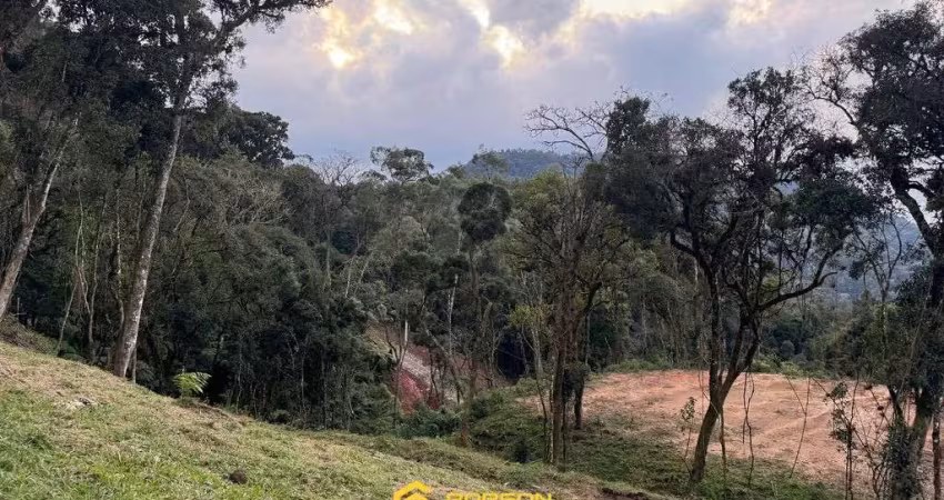 Terreno à venda na Av. Rodolfo Andermann, 1303, Zona Rural, Rio Rufino