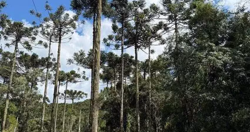Terreno à venda na Zona Rural, Rio Rufino 