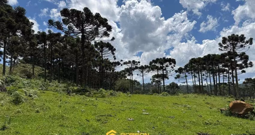 Terreno à venda no São Pedro, Urubici 