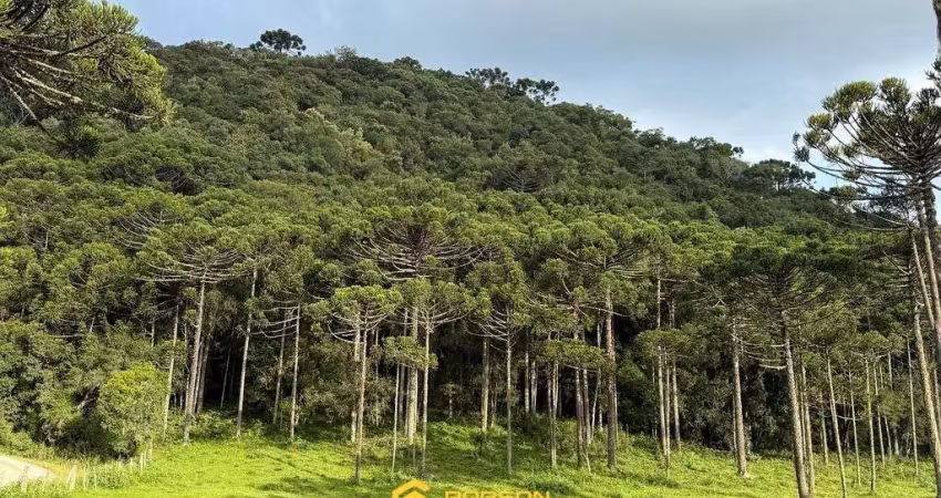 Terreno à venda na Zona Rural, Urubici 