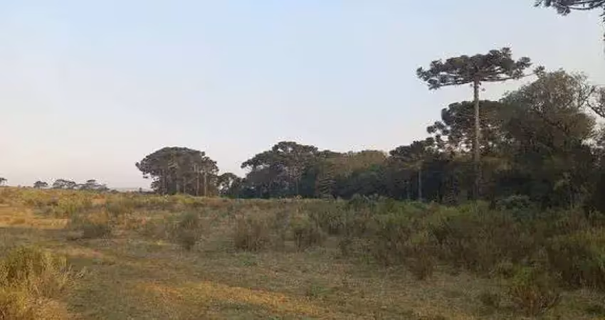 Terreno à venda na Fazenda Cadete, Zona Rural, São Joaquim