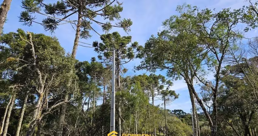 Terreno à venda na Perto da Gruta, Santa Tereza, Urubici