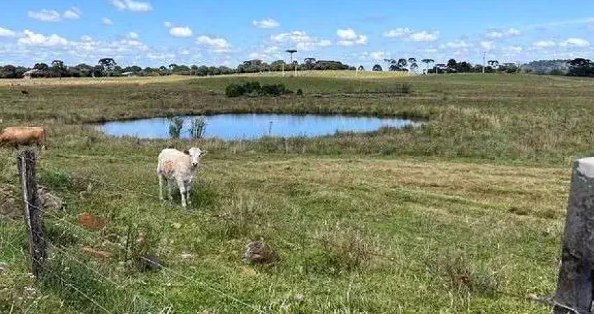 Terreno à venda na Zona Rural, Urupema 