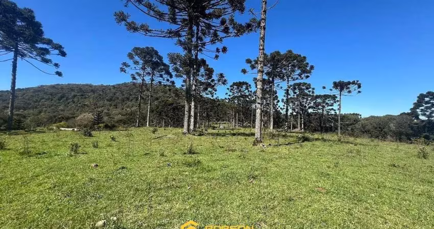 Terreno à venda no Cedro, Urupema 