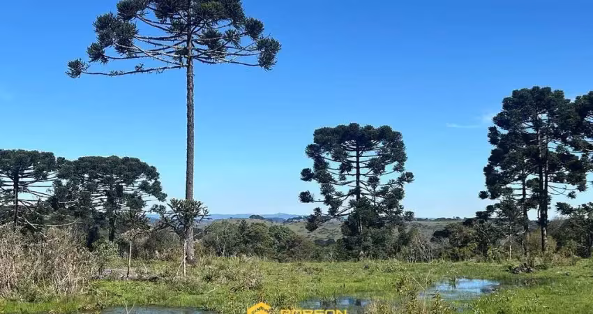 Terreno à venda no Centro, Urupema 