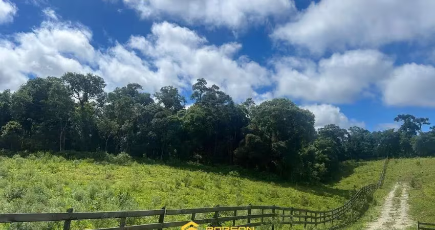 Terreno à venda na Próximo a Igreja, Zona Rural, Urubici