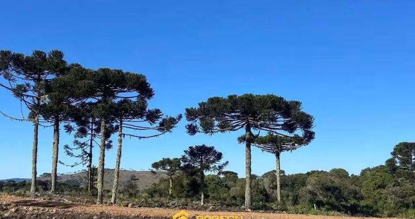 Terreno à venda na Lage Negra, Zona Rural, Urubici