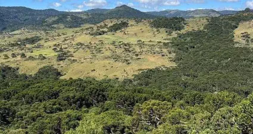 Terreno à venda na Farofa, Centro, Urupema