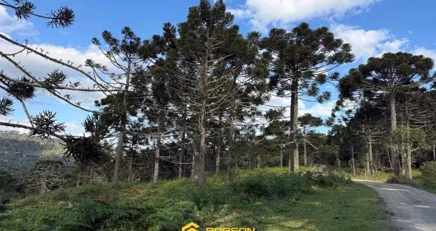 Terreno à venda na Zona Rural, Urubici 