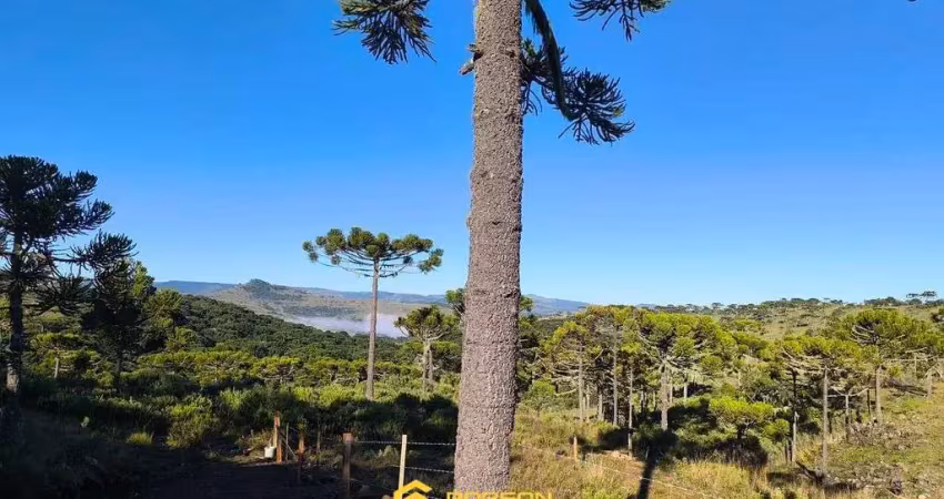 Terreno à venda na Bom Sucesso, Centro, São Joaquim