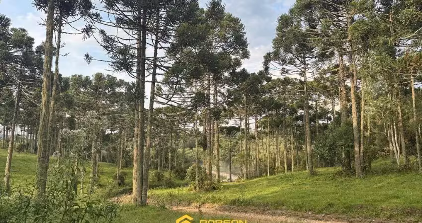 Terreno à venda na Bom Sucesso, Centro, São Joaquim
