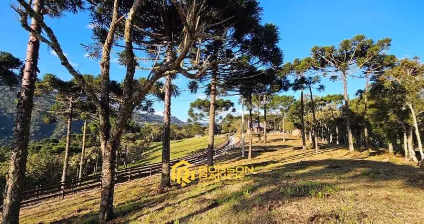 Terreno à venda no Santa Tereza, Urubici 