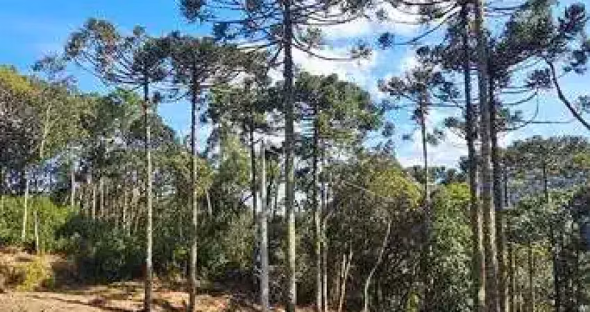 Terreno à venda na Zona Rural, Urubici 