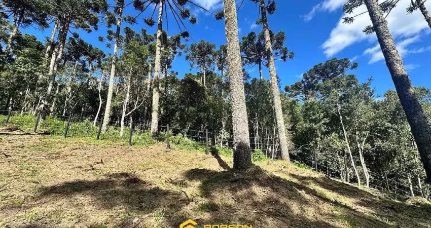 Terreno à venda na Estrada Geral, São José, Urubici