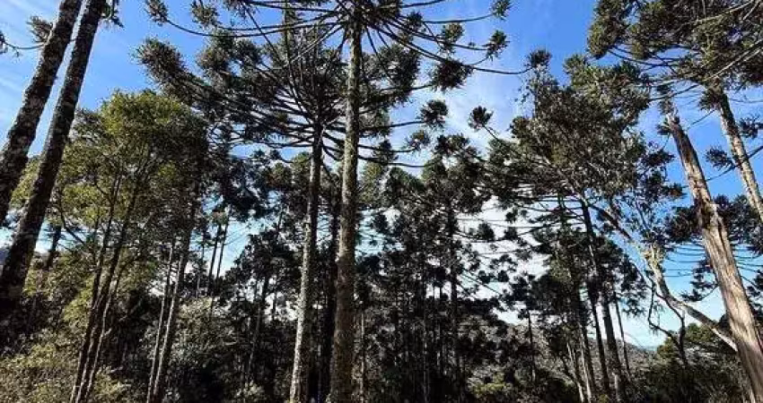 Terreno à venda na Imbuia, Zona Rural, Urubici