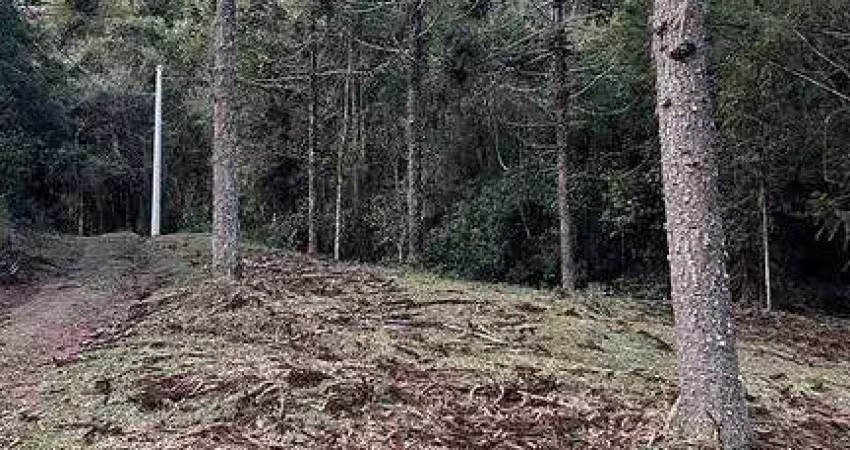 Terreno à venda na Águas Brancas, Urubici 