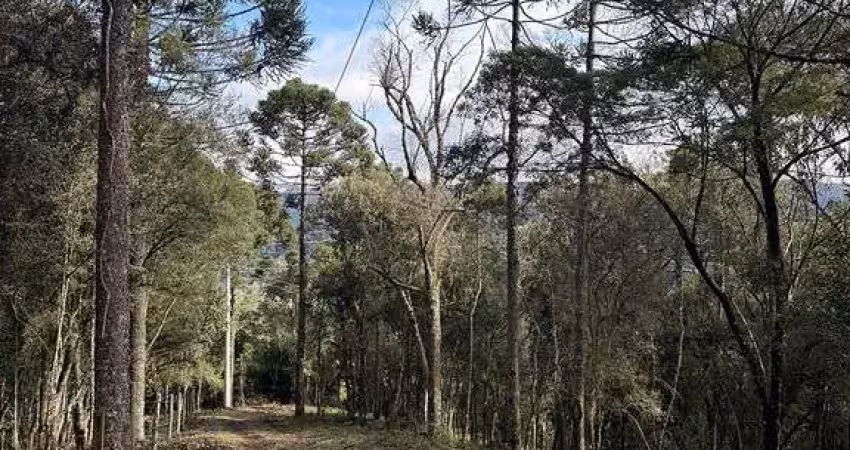 Terreno à venda na Águas Brancas, Urubici 
