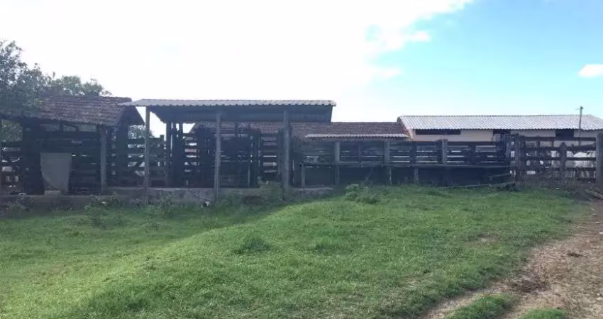 Fazenda com 52 alqueires para venda em são vicente-araruama/rj, água, luz, asfalto na porta, perto d