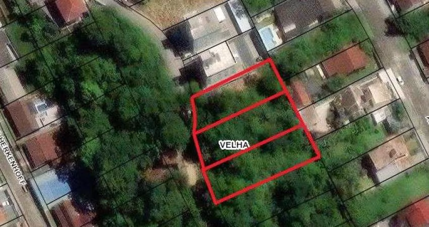 Terreno à venda, 2000 m² por R$ 1.020.000,00 - Velha - Blumenau/SC