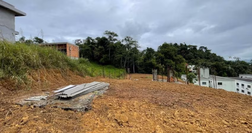 Terreno à venda, 752 m² por R$ 950.000,00 - Escola Agrícola - Blumenau/SC