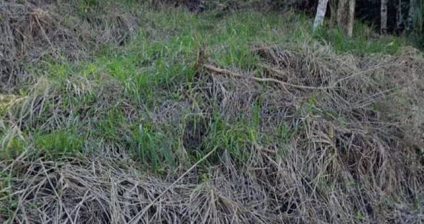 Terreno à venda, 1447 m² por R$ 690.000,00 - Escola Agrícola - Blumenau/SC