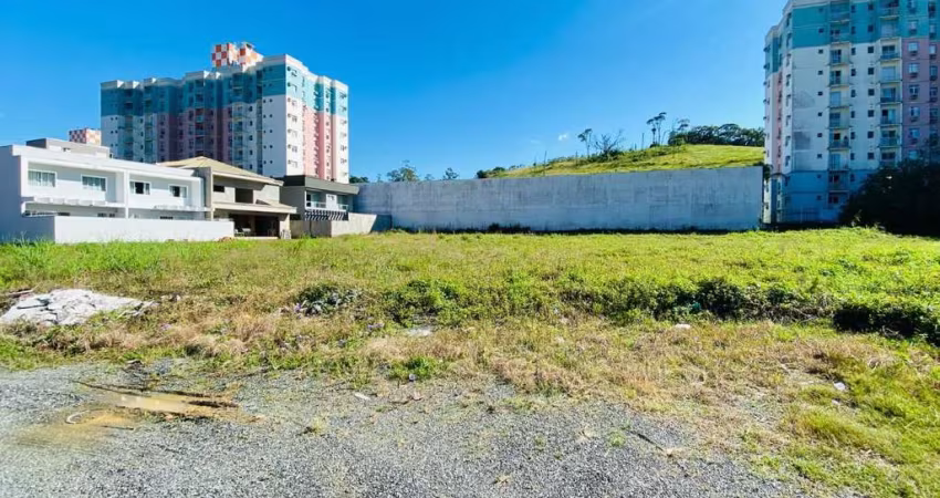Terreno Plano ideal para residencial e comercial