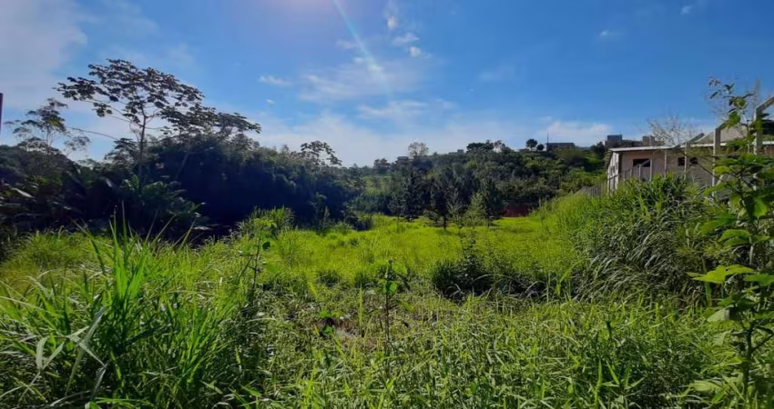 Terreno à venda, 5000 m² por R$ 1.650.000,00 - Fortaleza Alta - Blumenau/SC