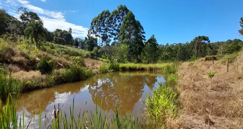 Lindo terreno de chácara pilar do sul, 5.000 m², tanque, mina d’água, facilita, doc. ok.