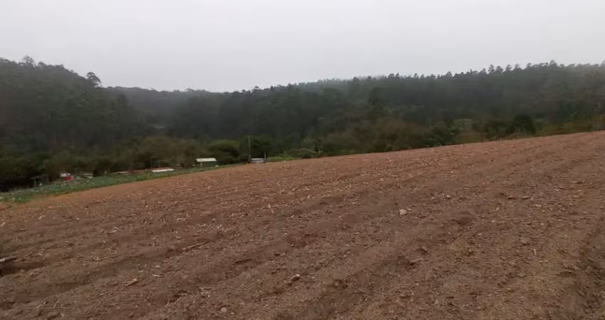 Lindo terreno piedade, 3.000 m², 4,5 km asfalto, semi plano, ótimo local, doc. ok.