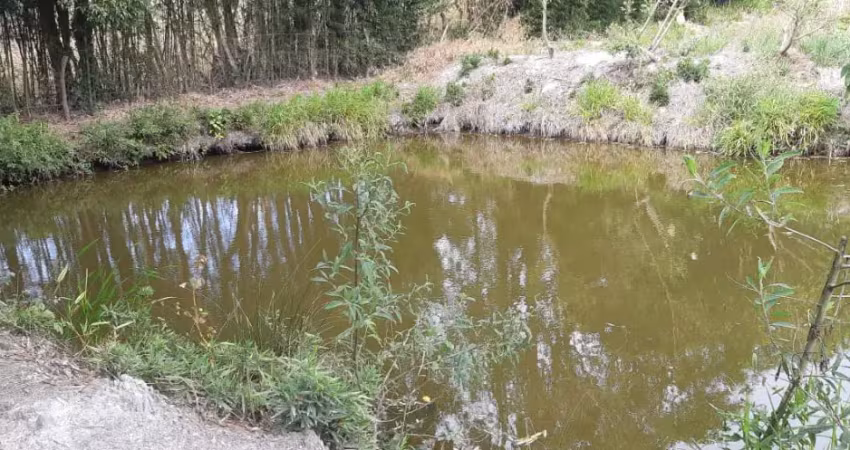 Lindo sítio em piedade, 11.900 m², 1,5 km asfalto, 3 quartos, nascente, lago, escritura.