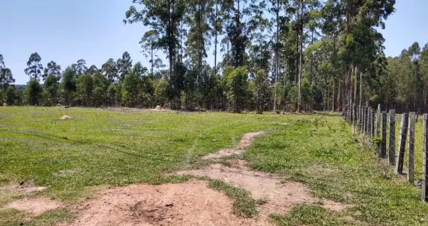 Linda sitio em sarapuí, 4,5 alqueires, 1,5 km asfalto, mina d’água, plano, eucalipto, doc. ok