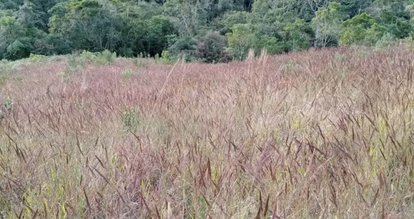 Lindo sítio em tapiraí, 37.000 m², 23 km de tapiraí, 7 km de terra, doc. ok, facilito.