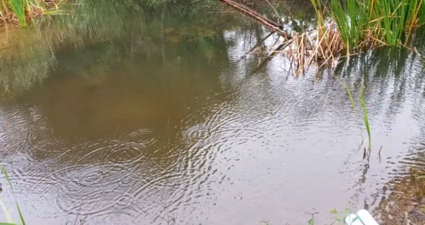 Lindo sítio tapiraí, 3 alq., 18 km da cidade, 3 quartos, tanque + mina d’água, escritura.