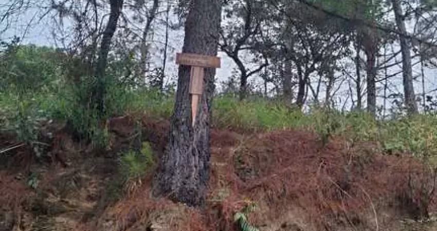Vende se terreno 280 m2,  chácara solar, fazedinha.
