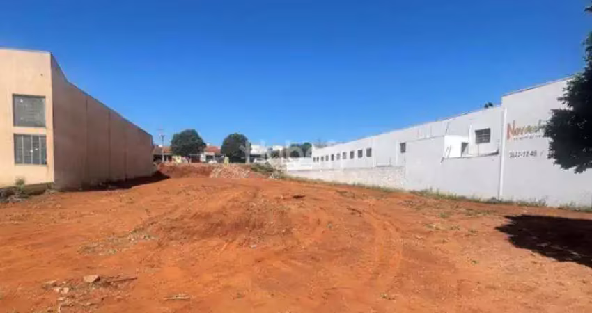 Oportunidade única:  grande terreno comercial bem de frente com a rodovia pr 489