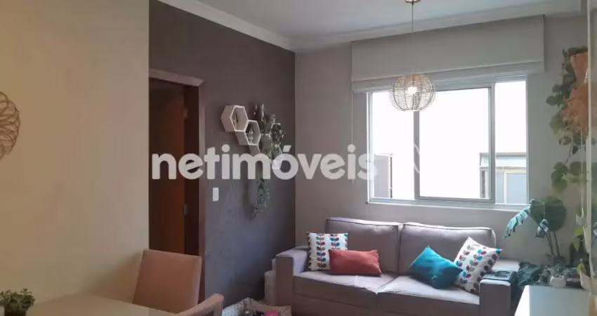 Apartamento com 2 quartos à venda na Rua José Amaury Ferrara, Buritis, Belo Horizonte