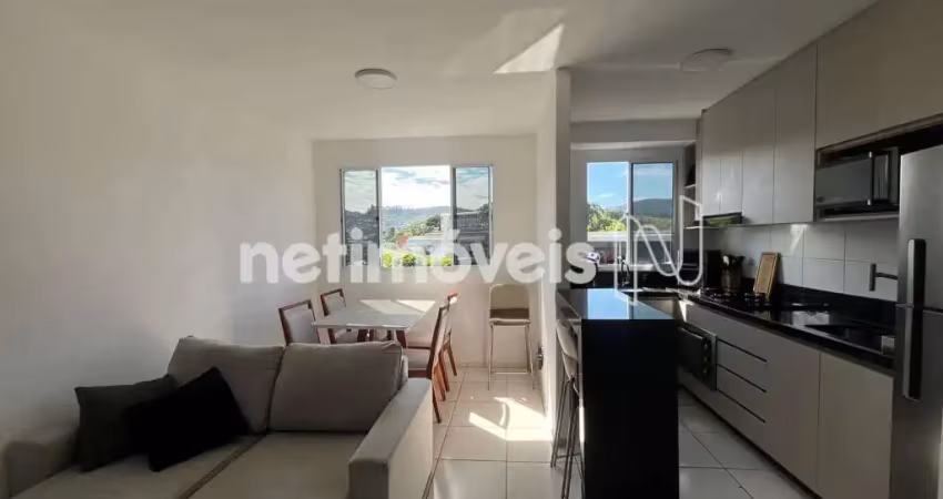 Apartamento com 2 quartos à venda na Rua Antônio de Andrade Mendes, Palmeiras, Belo Horizonte