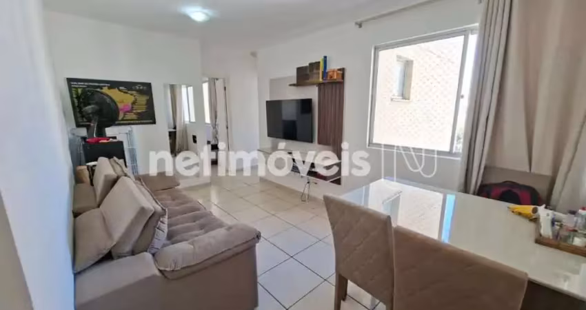 Apartamento com 2 quartos à venda na Rua Júlio de Castilho, Cinquentenario, Belo Horizonte