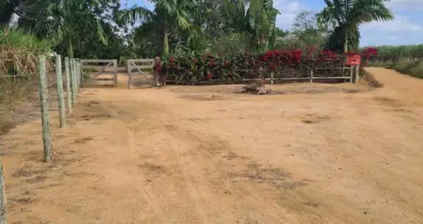 Oportunidade única! terra produtiva à venda com infraestrutura completa e potencial produtivo em pedro canário, es!