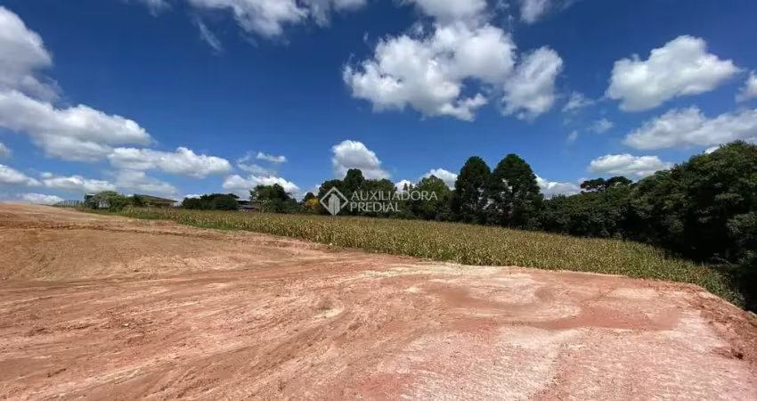Terreno à venda no Jardim Florestal, Campo Largo 