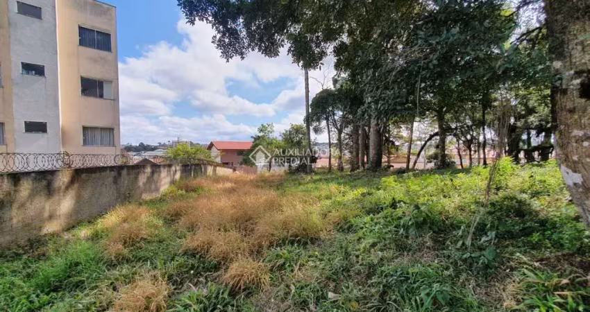 Terreno à venda na Rua Vereador João Augusto de Almeida Barbosa, Vila Otto, Campo Largo