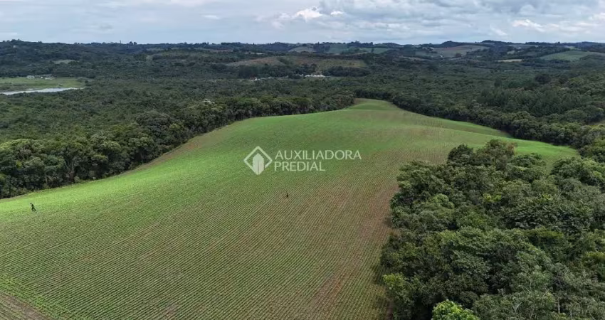 Terreno à venda na dos Imigrantes, 22, Colônia Balbino Cunha, Campo Largo