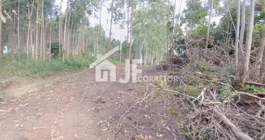 Chácara de 44000m² no bairro macaco branco , em portão