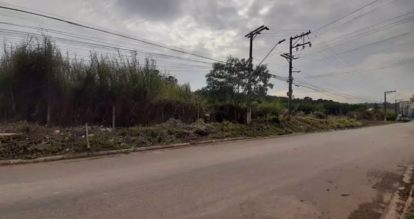 Terreno industrial e comercial à venda parque rincão- cotia-s/p