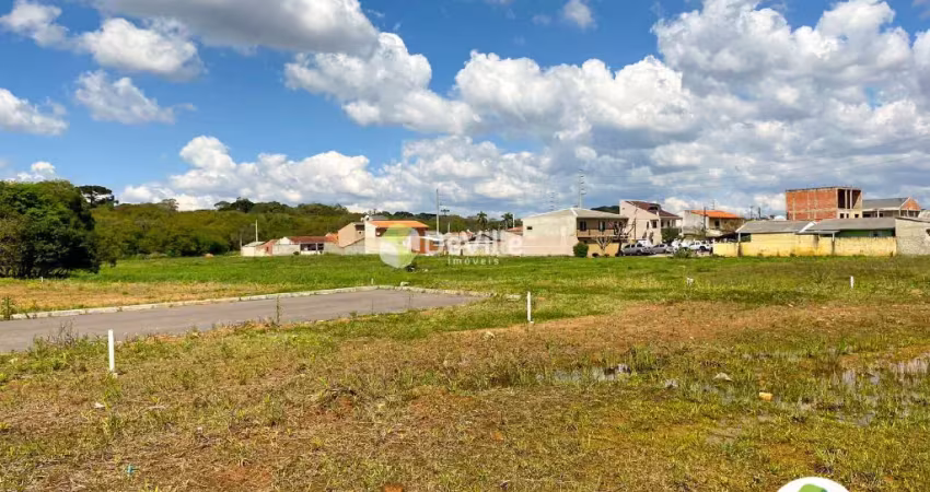 Terreno à venda no centro da fazenda rio grande– sem burocracia, direto com o proprietário!
