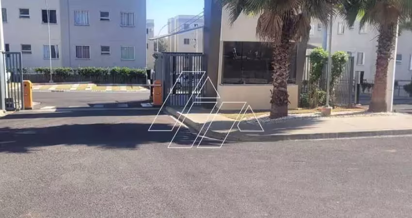 Apartamento à venda, 1 vaga, vila maria - marília/sp
