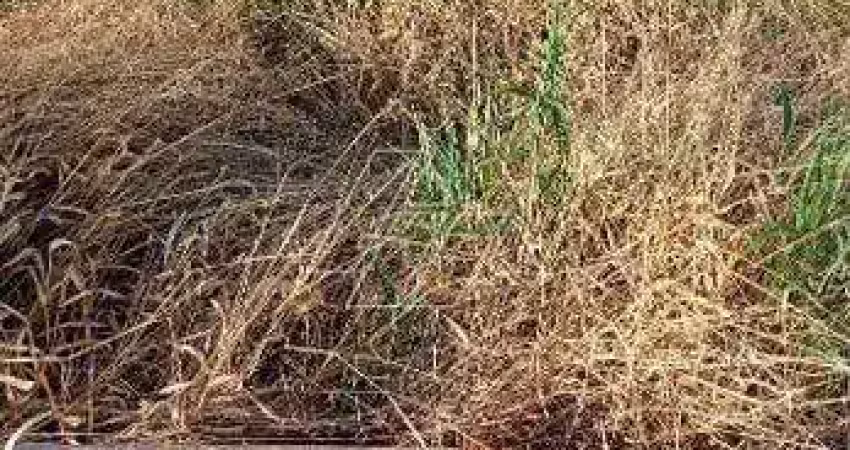 Terreno à venda no Parque das Flores, Marília 