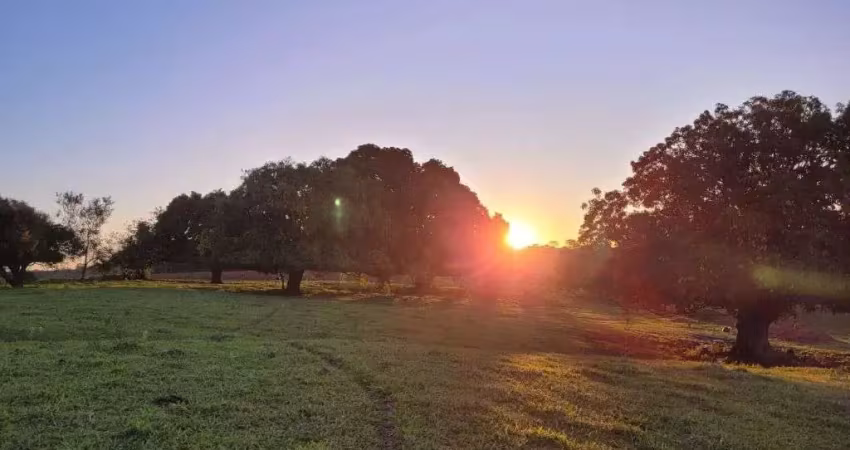 Terreno à venda, 1200 m² por r$ 120.000,00 - vera cruz - vera cruz/sp