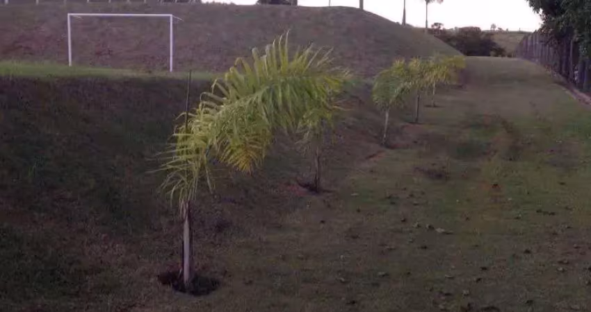 Terreno à venda, 2500 m² por r$ 380.000 - residencial portal da serra - marília/sp
