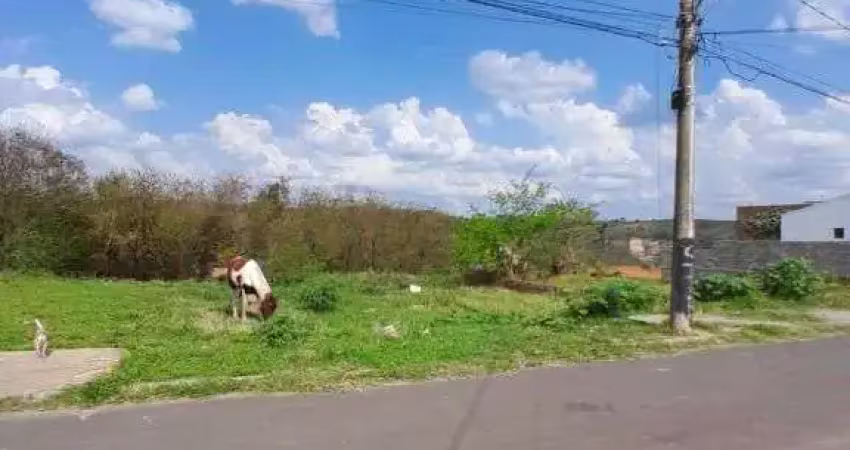 Terreno à venda no Parque dos Ipês, Marília 